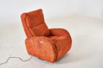 Orange Berjer - Изображение 3
