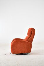 Orange Berjer - Изображение 13