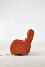 Orange Berjer - Изображение 14