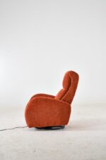 Orange Berjer - Изображение 15